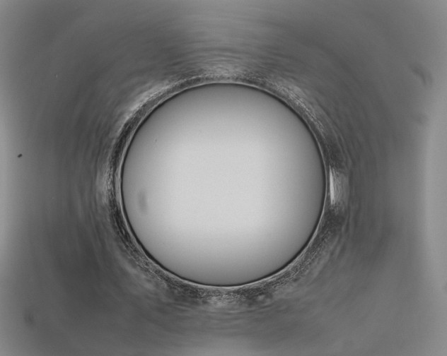 X0000113620579200909181441