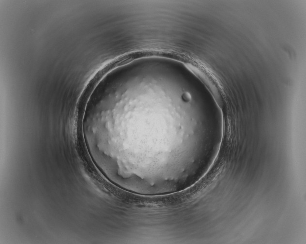 X0000113620580200909181441