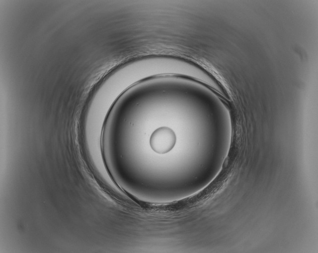 X0000113620581200909181441