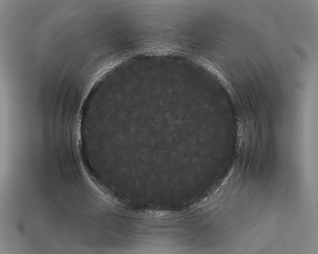 X0000113620582200909181441