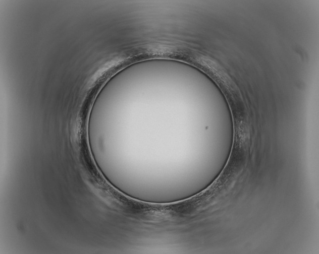 X0000113620583200909181441