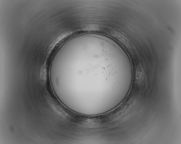 X0000113620584200909181441