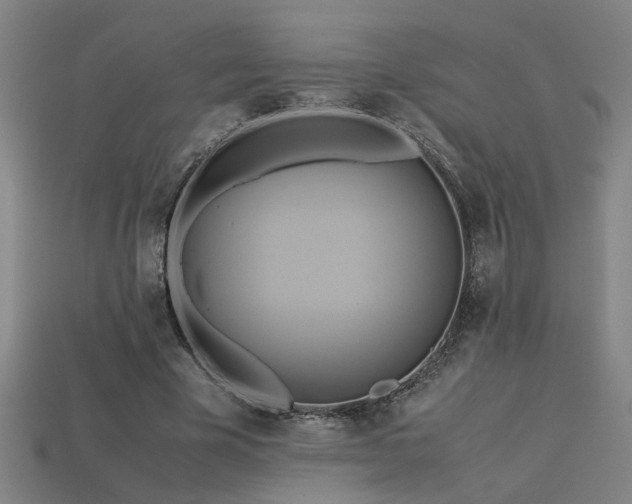 X0000113620585200909181441