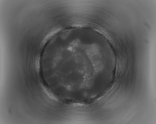 X0000113620586200909181441