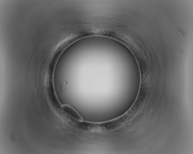 X0000113620587200909181441