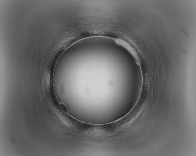 X0000113620589200909181441