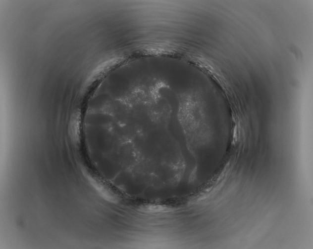 X0000113620590200909181441