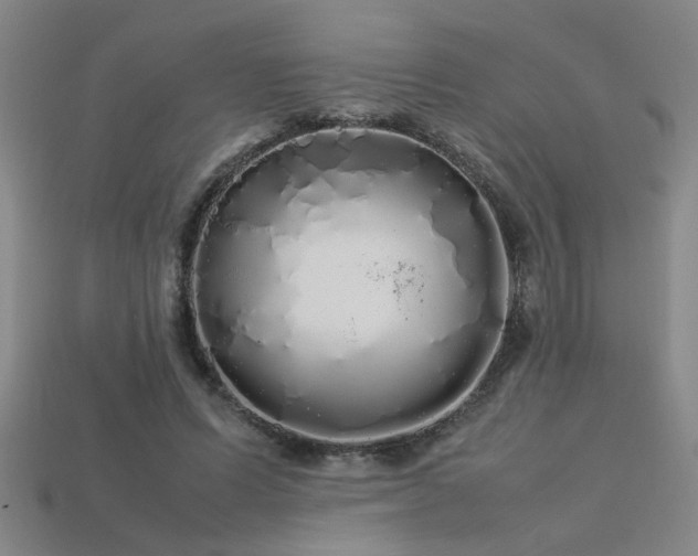 X0000113620591200909181441