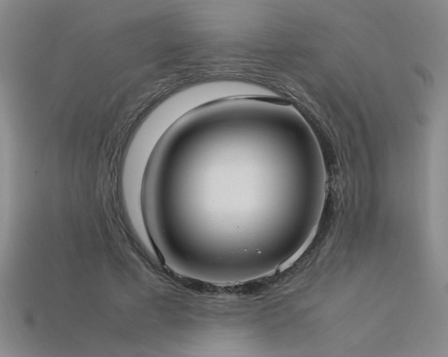 X0000113620593200909181441