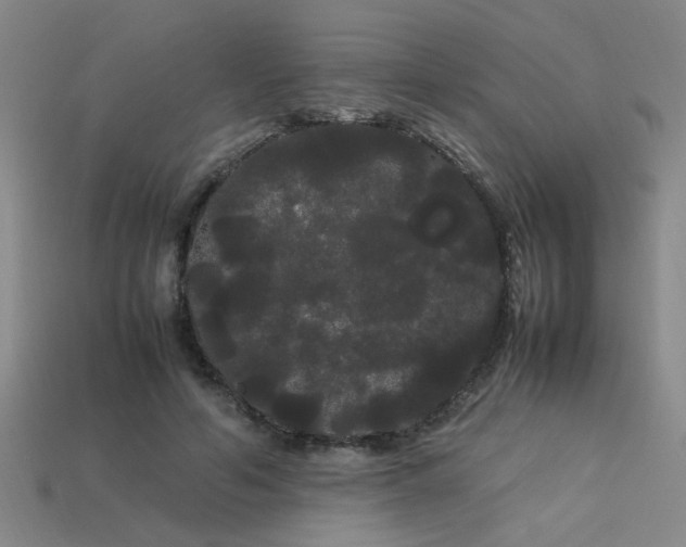 X0000113620594200909181441