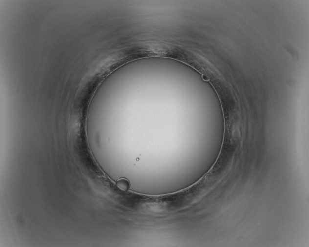 X0000113620595200909181441