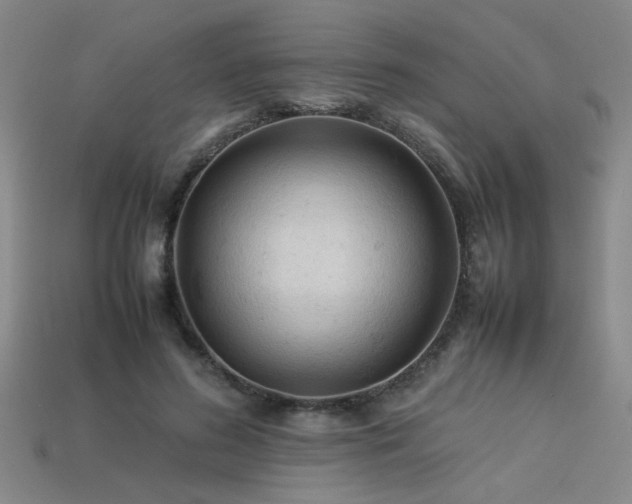 X0000113620596200909181441