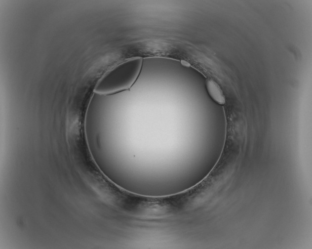 X0000113620597200909181441