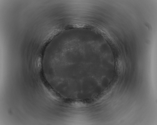 X0000113620598200909181441