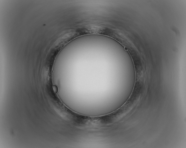 X0000113620599200909181441