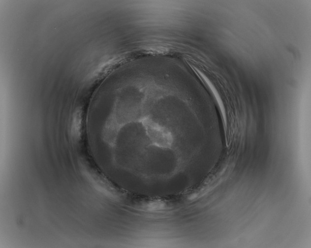 X0000113620600200909181441