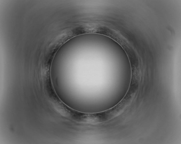 X0000113620601200909181441