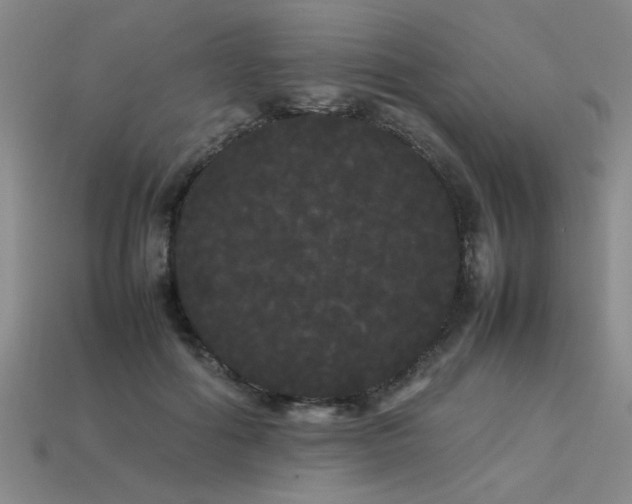 X0000113620602200909181441