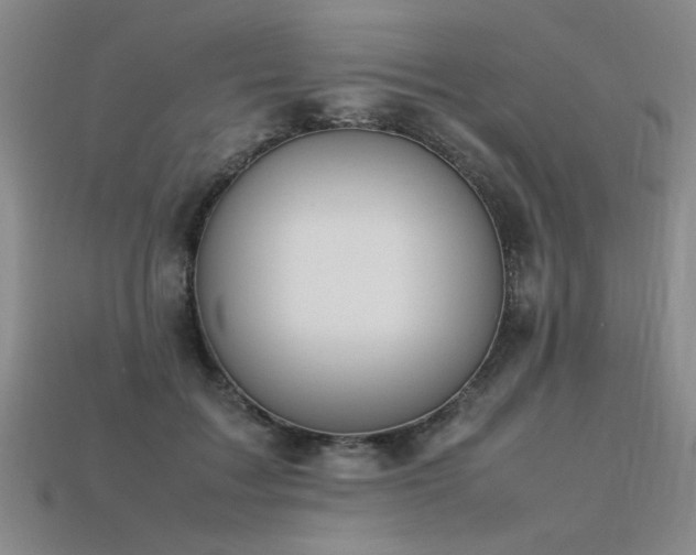 X0000113620603200909181441