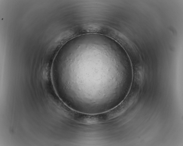 X0000113620604200909181441