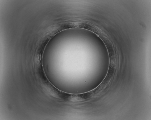 X0000113620605200909181441