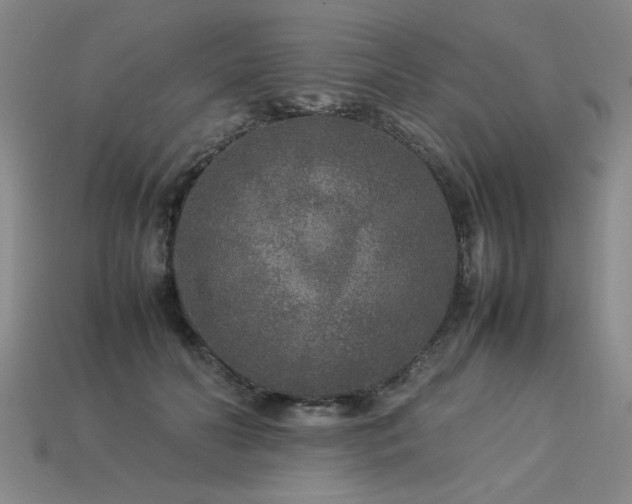 X0000113620606200909181441