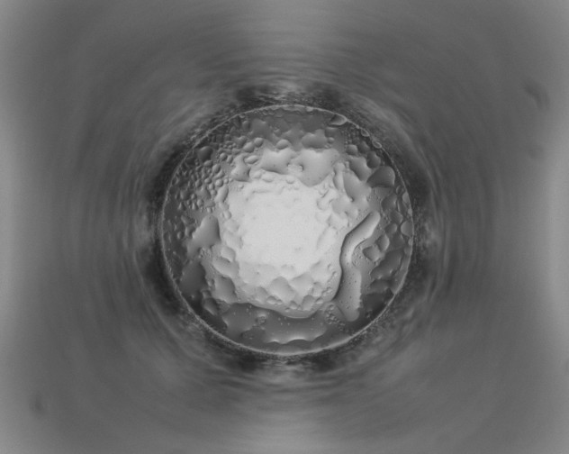 X0000113620607200909181441