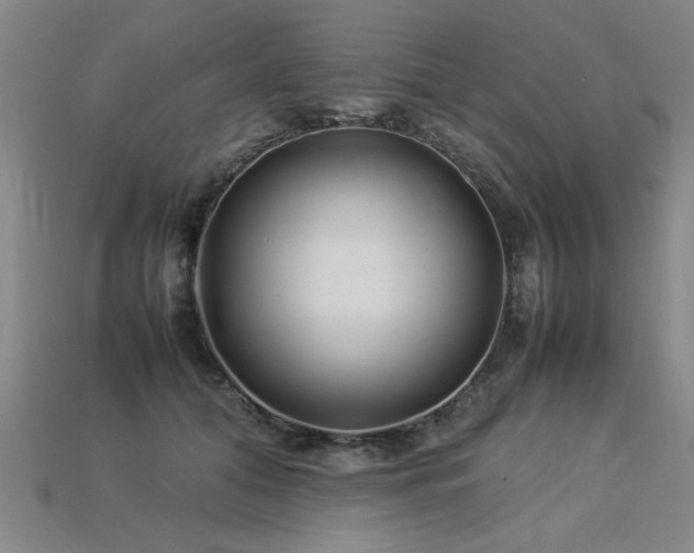 X0000113620608200909181441