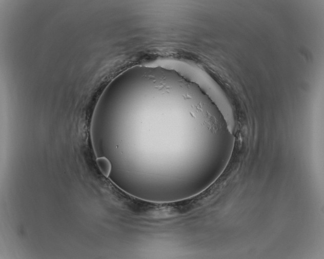 X0000113620609200909181441