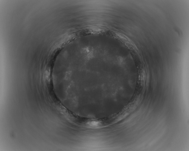 X0000113620610200909181441