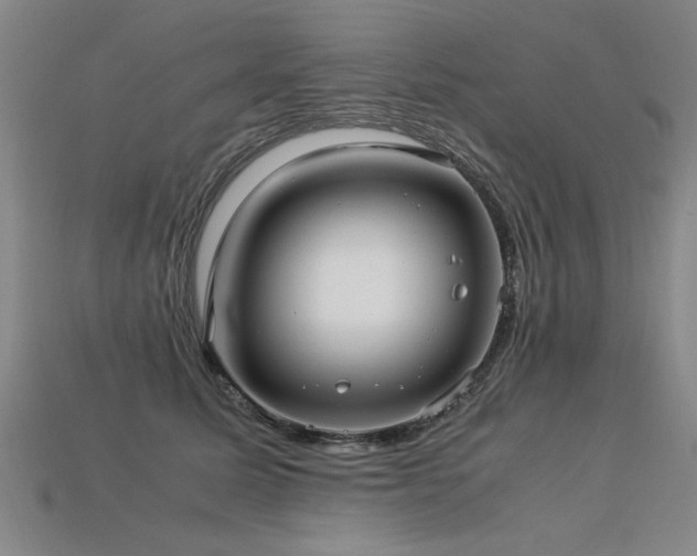 X0000113620611200909181441