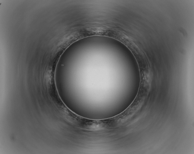 X0000113620612200909181441