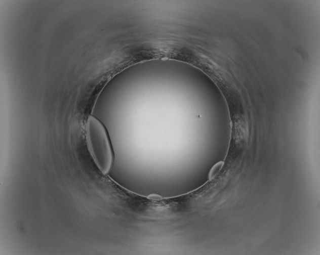 X0000113620613200909181441