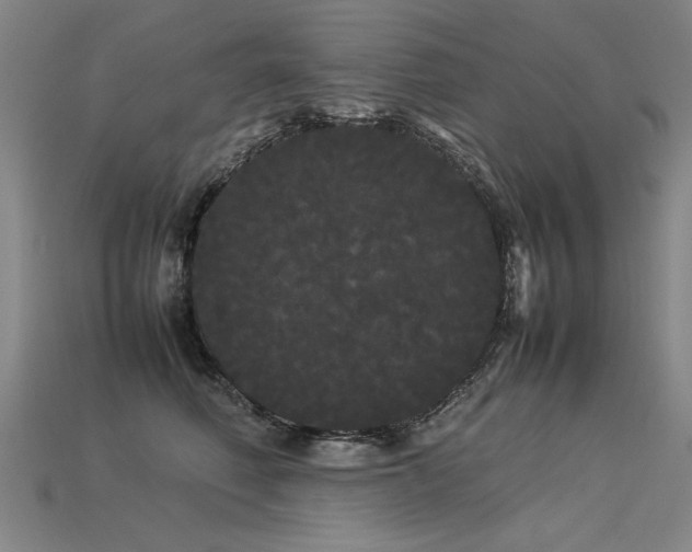 X0000113620614200909181441