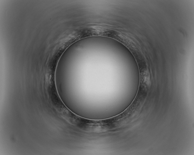 X0000113620615200909181441