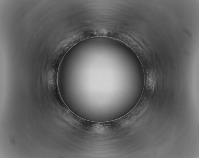 X0000113620616200909181441