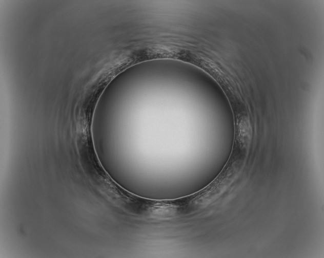 X0000113620617200909181441