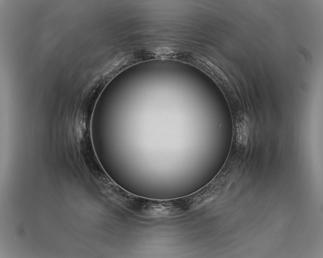 X0000113620618200909181441