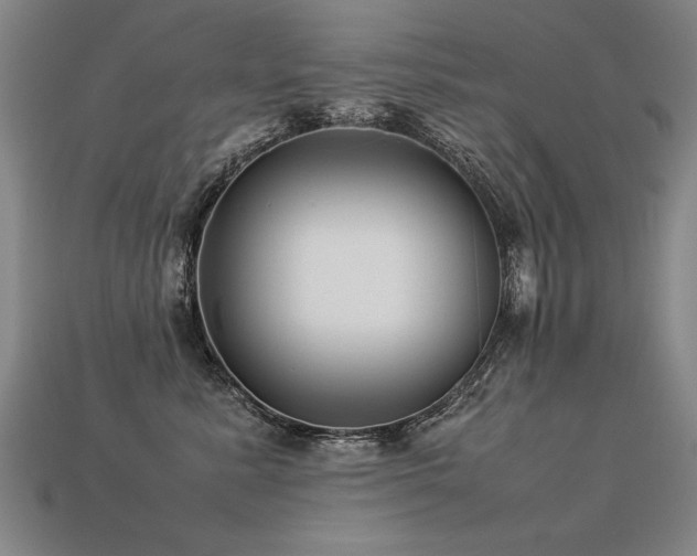 X0000113620619200909181441