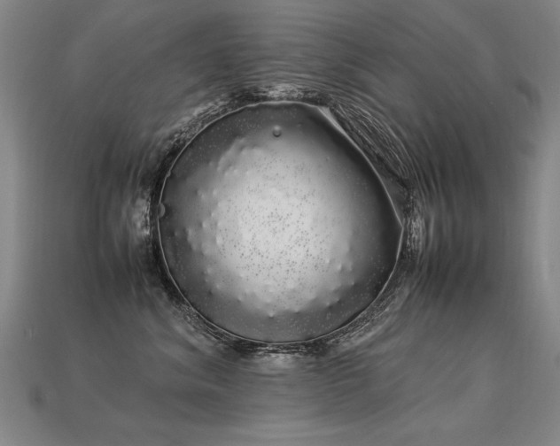 X0000113620620200909181441