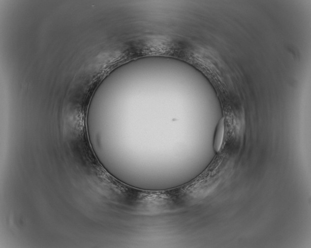 X0000113620621200909181441