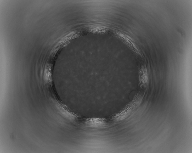 X0000113620622200909181441