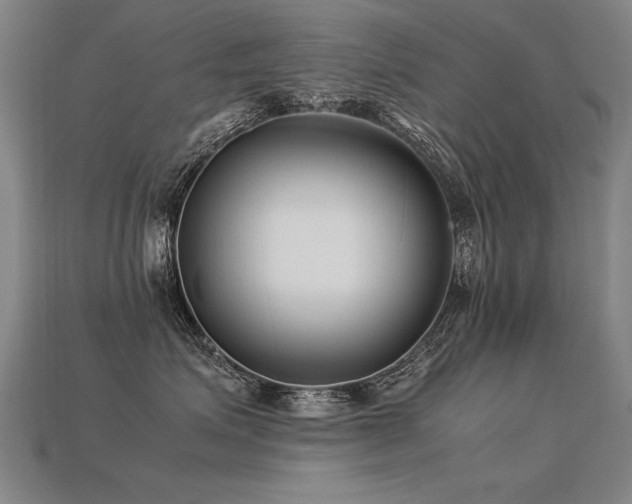 X0000113620623200909181441