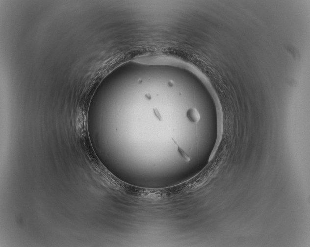 X0000113620624200909181441