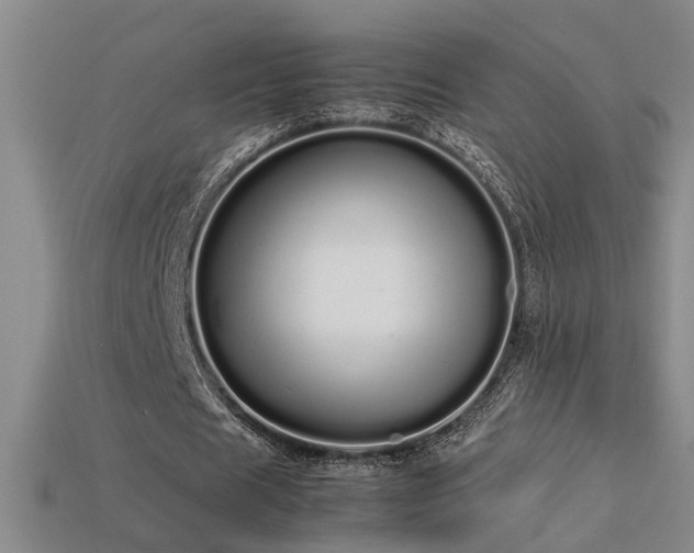 X0000113620625200909181440