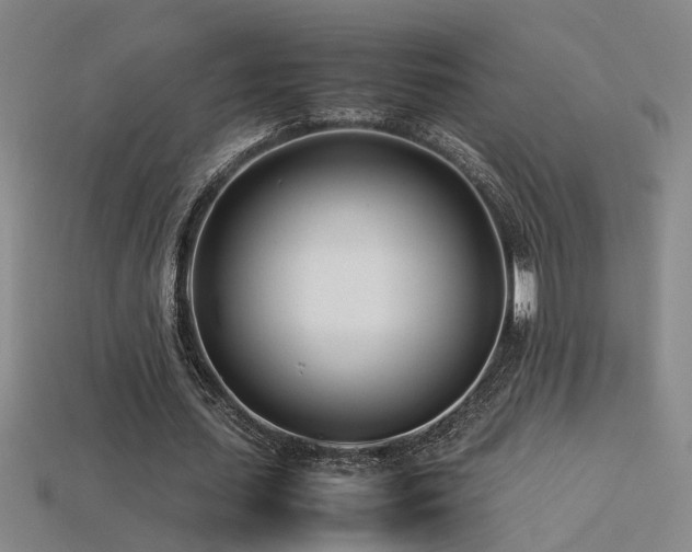 X0000113620627200909181440