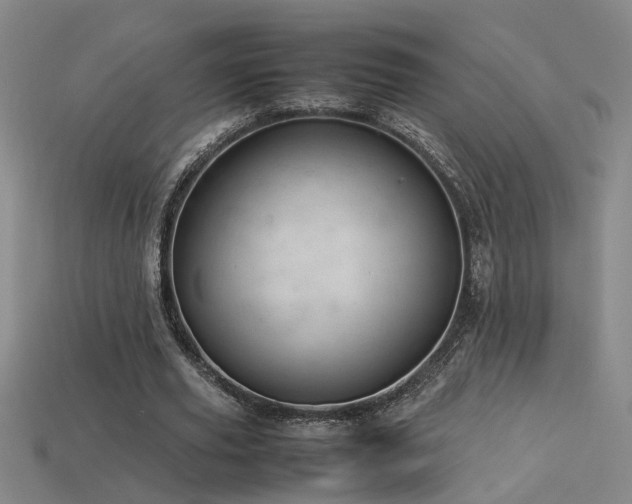 X0000113620629200909181440