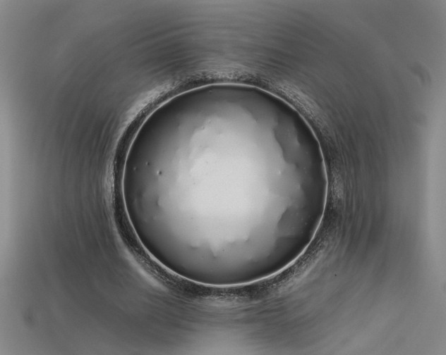 X0000113620630200909181440