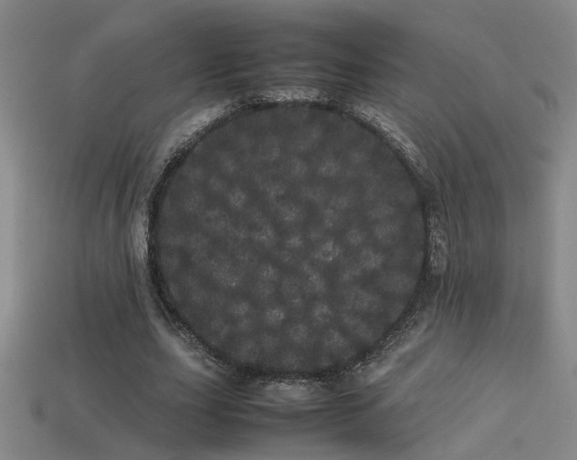 X0000113620631200909181440