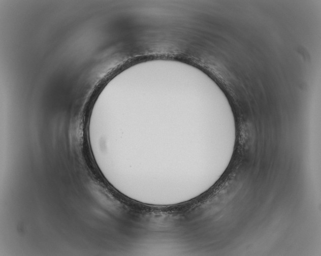 X0000113620632200909181440